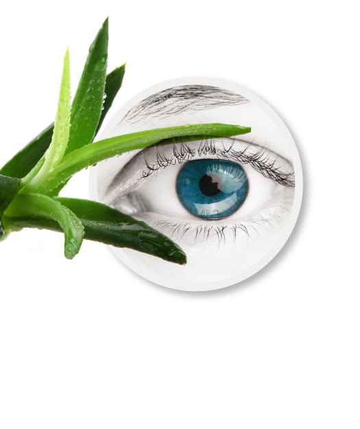  Leader Lágrimas artificiales lubricantes para ojos secos, 0.5  fl oz : Salud y Hogar
